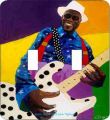 Buddy Guy Double Switch Plate Cover