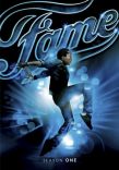 Fame TV Show Complete Season 1